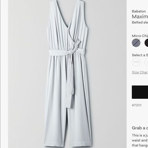 NWT Light blue jumpsuit from Aritzia (size XS)